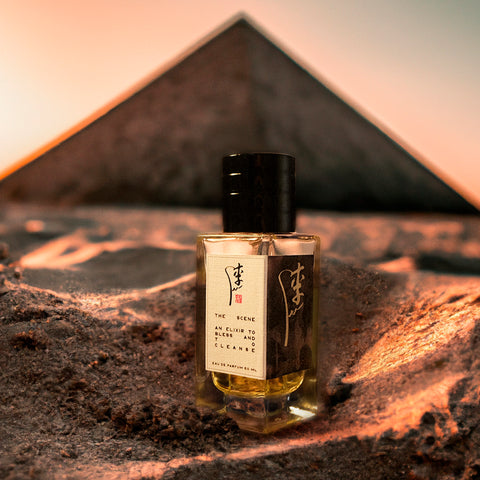 Saints & Sinners Eau De Parfum 1.7OZ/50ML